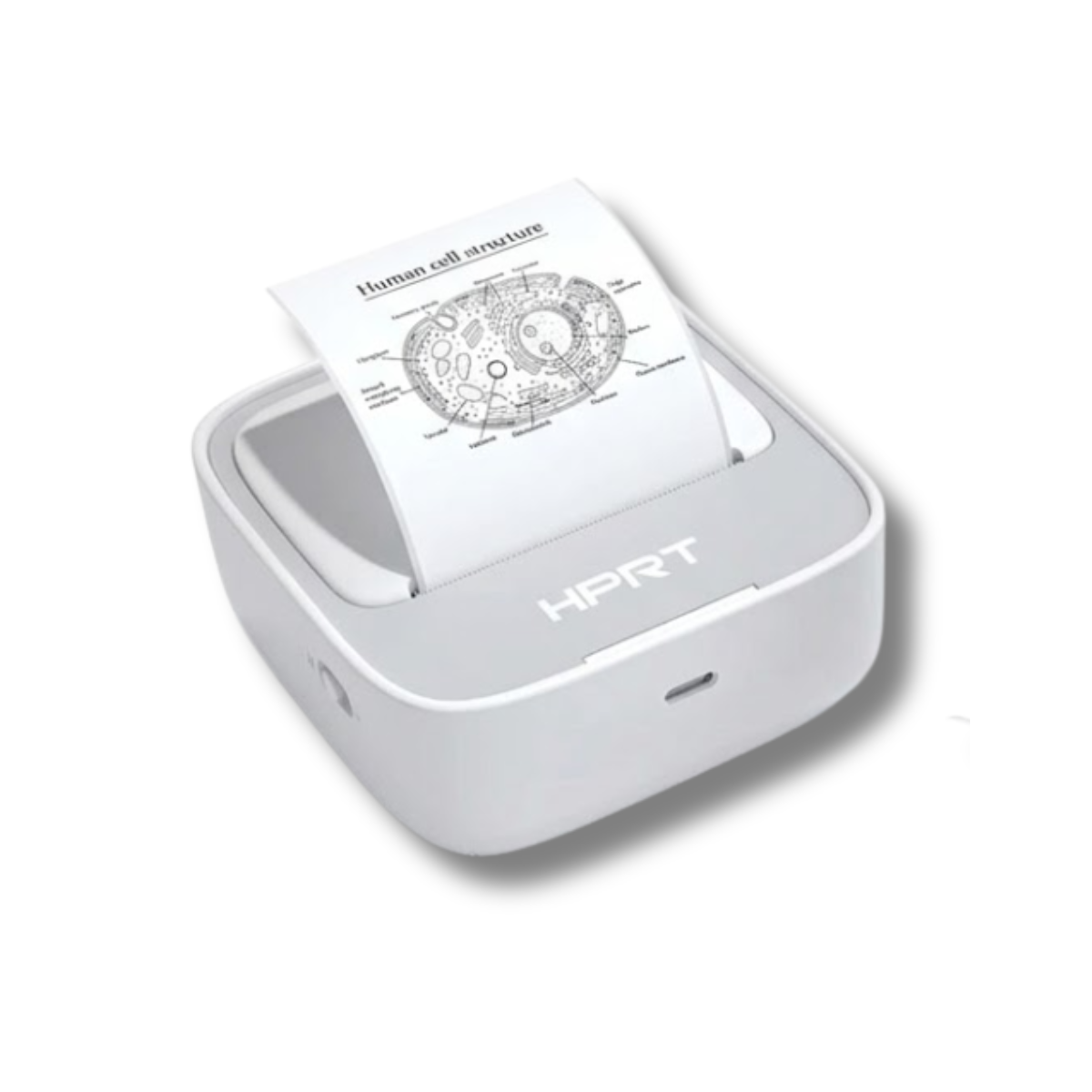 Máy Tạo Nhãn HPRT S1 | In Nhãn Nhiệt Cầm Tay, Kết Nối Bluetooth, Dùng Cho Gia Đình, Kinh Doanh, Học Sinh & Sinh Viên